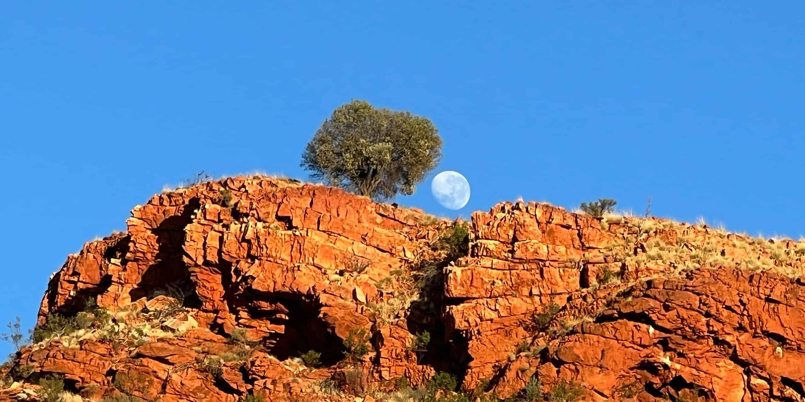 Moonrise Majesty in the Gibson Desert A Timeless Australian Panorama