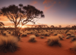 Red Sand Symphony An Outback Sunset's Tale